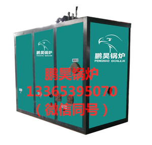 供应山东鹏昊挂面厂专用挂面烘干热水锅炉厂家