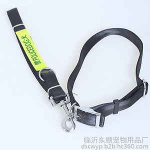 临沂宠物用品-临沂宠物用品简述牵狗绳的正确用法