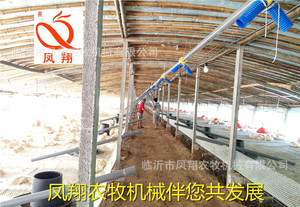 养鸭鹅料线 养鸭水线 全套自动化养鸭鹅设备 加料机
