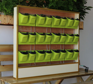 （大盆）都市绿缘智能壁挂件 垂直绿化植物墙