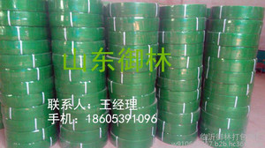 PET环保塑钢打包带