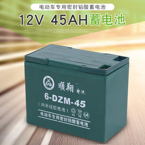 现货供应顺翔45AH蓄电池 开口式电动车蓄电池 耐用动力型蓄电池