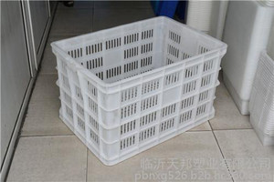 山东塑料鸡蛋箱批发/临沂天邦塑业