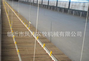 养鸭喂水系统养殖场用饮水器鸭用水线料线全自动化养殖设备