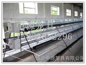 肉鸡笼加工厂/临沂市中源笼具