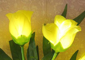 花圈发光花
