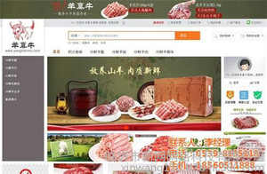 临沂新网网络(图)_个人网站设计_河东区网站设计