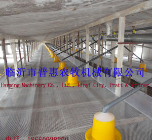 养殖场养鸭料线自动上加料机全自动喂料系统鸭用料线普惠成产