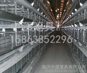 滨州肉鸡笼加工/临沂市中源笼具