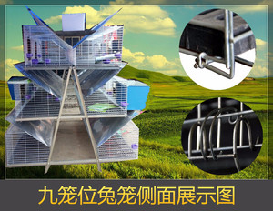 九笼位新款免清粪阶梯式兔笼 自动清粪 不生锈 使用寿命长养兔设备