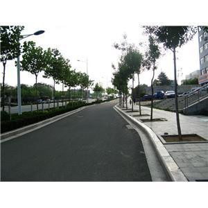 厂家供应五莲花  路沿石 优质供应厂家  五莲花  路沿石