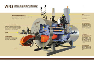 批发高温气化燃烧锅炉 压力容器 蒸压釜 全自动蒸汽锅炉