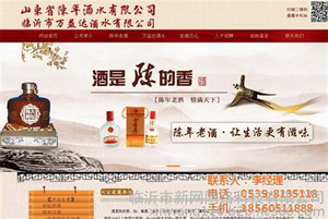 临沭网站设计、临沂新网网络、个人网站设计