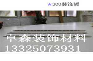 中空板 新型装饰材料塑木墙板