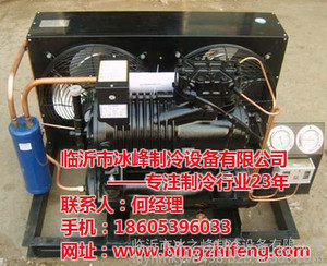 活动冷库_冰之峰制冷_蒙阴活动冷库