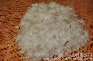 鸭绒_兰兴羽绒(图)_灰鸭绒的价格