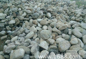 淮北河卵石 鹅卵石 水冲石 园林石开采基地