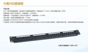 拓贸隆T-6065-24P网络工程