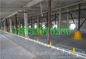 自动养鸭用料线设备