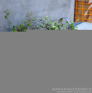 柳编工艺品专业生产　欧拉柳编工艺品厂家　高端典雅最赞之选