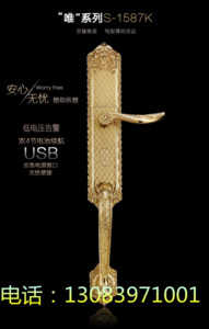 施肯洛克s-1587k 指纹锁批发