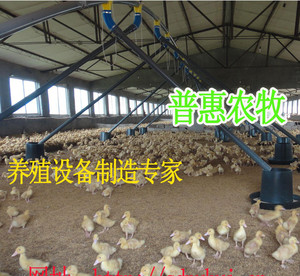 简易鸭料线养鸭料线养鸭设备自动化养鸭料线鸭用上喂料机成产
