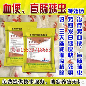 盲肠球虫，血便，快速控制死亡