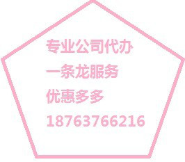 专业会计代理记账  工商年检 纳税申报