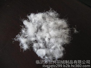 青岛鹅绒_兰兴羽绒_鹅绒