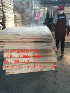 凯鑫木业 胶合板 辐射松的