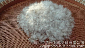 鸭绒|鸭绒|兰兴羽绒(在线咨询)