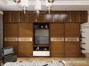 香港少年派 915*2180*12厘   定制异型环保  胶合板 造型生态移门品牌厂家