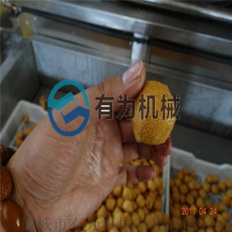豆腐泡油炸机26.jpg