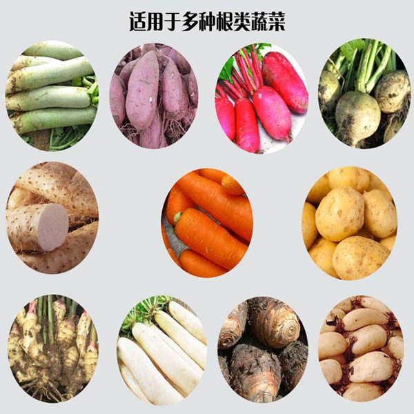蔬菜清洗机9.jpg