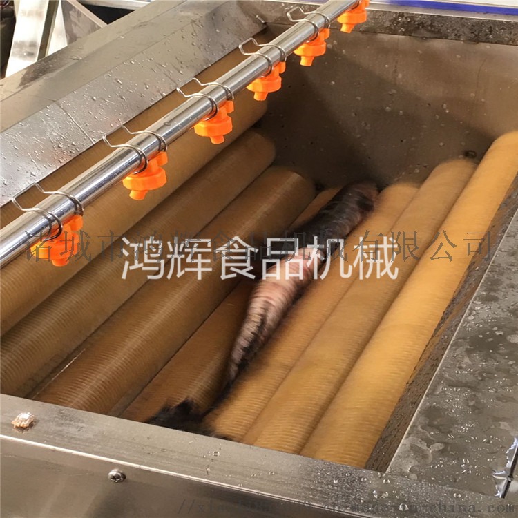 毛辊清洗机 萝卜清洗机 土豆清洗机 大姜清洗机56076322