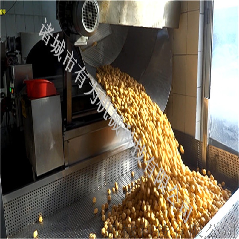 豆腐泡油炸机31.jpg