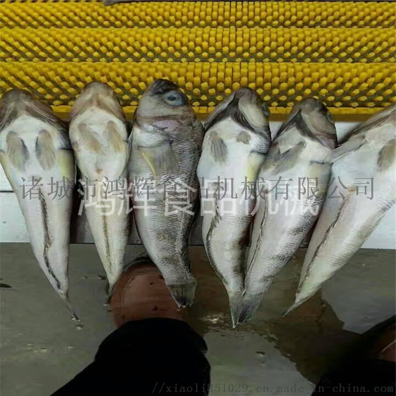 毛辊清洗机 萝卜清洗机 土豆清洗机 大姜清洗机56076292