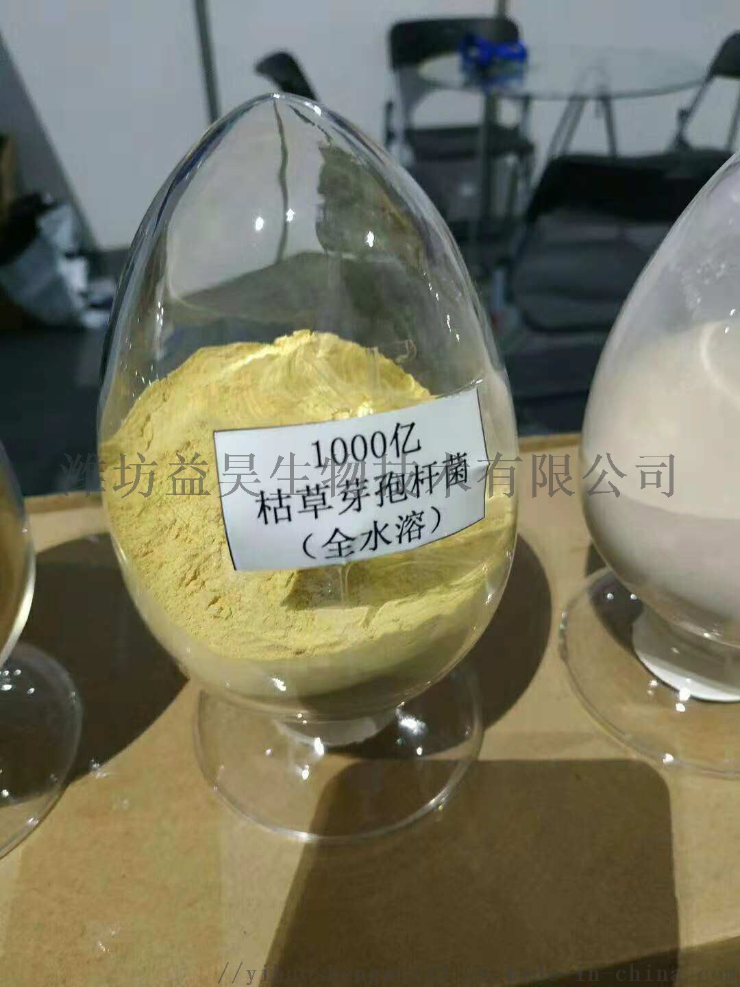 厂家直销1000亿全水溶枯草芽孢杆菌763797002