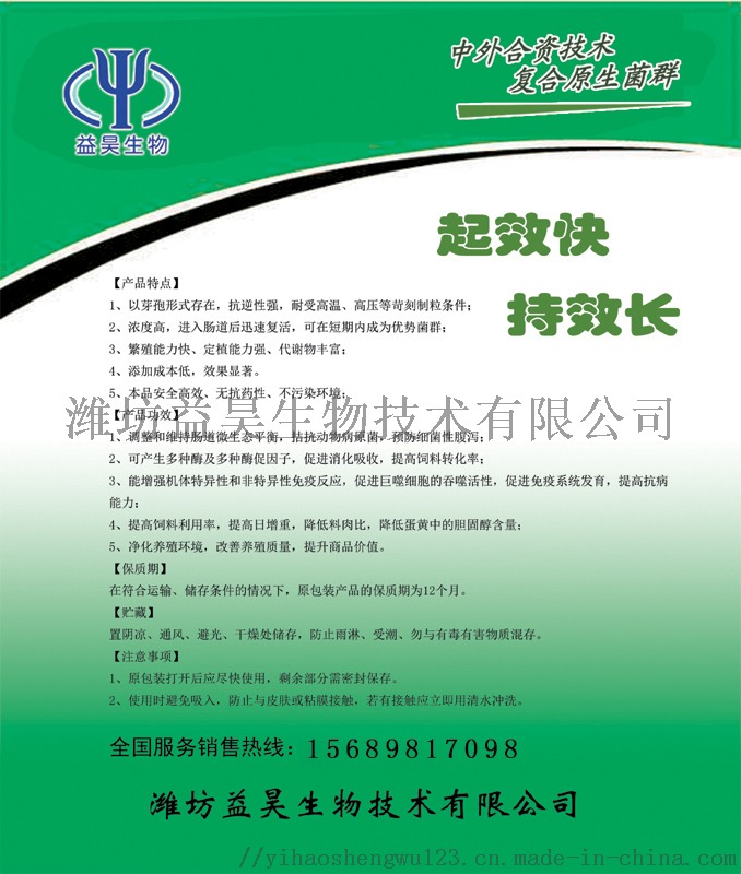 地衣芽孢反面 拷贝.jpg