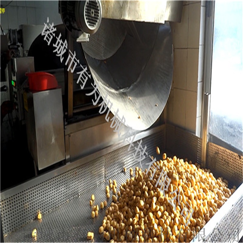 豆腐泡油炸机32.jpg