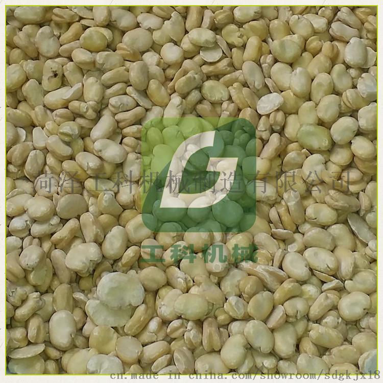 时产500KG蚕豆脱皮机，豇豆脱皮机，芸豆脱皮设备734812572