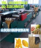 凯祥全自动蜜柚套袋纸袋机