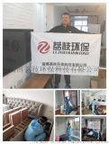 临淄甲醛检测治理_张店甲醛检测哪家好