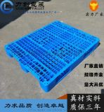 塑料托盘力创厂家直供量大优惠