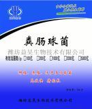 粪肠球菌厂家 粪肠球菌哪里有卖
