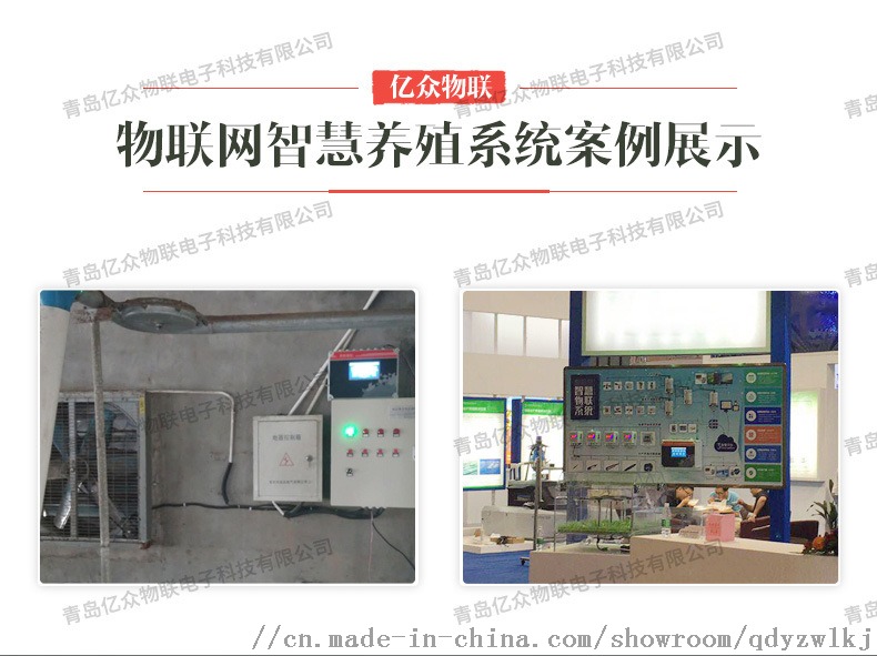 f6.jpg