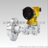 FD3051S LT单晶硅差压液位变送器