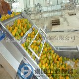 水果气泡清洗机 全自动蔬菜清洗机流水线厂家