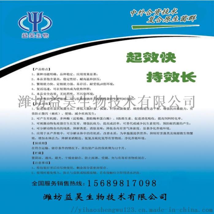 枯草芽孢杆菌 反面.jpg
