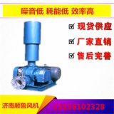 小型鼓风机 污水曝气风机 罗茨风机